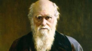 Cómo llegó a la teoría de la evolución Darwin