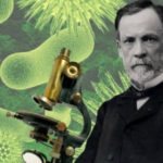 ¿Cuáles fueron los experimentos más importantes de Louis Pasteur?